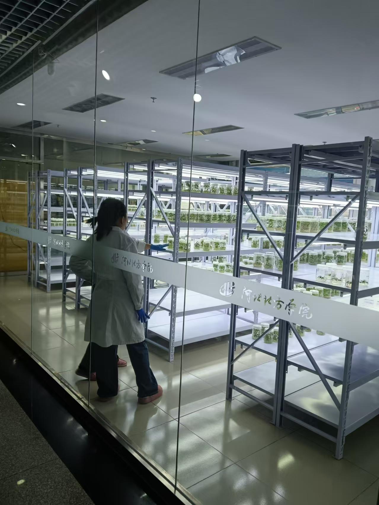 怀柔植物组培室设计的基本布局有哪些？